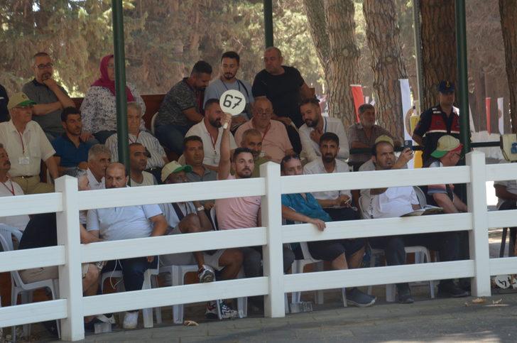 TİGEM, 56 tay satarak yaklaşık 10 milyon lira gelir elde etti G2