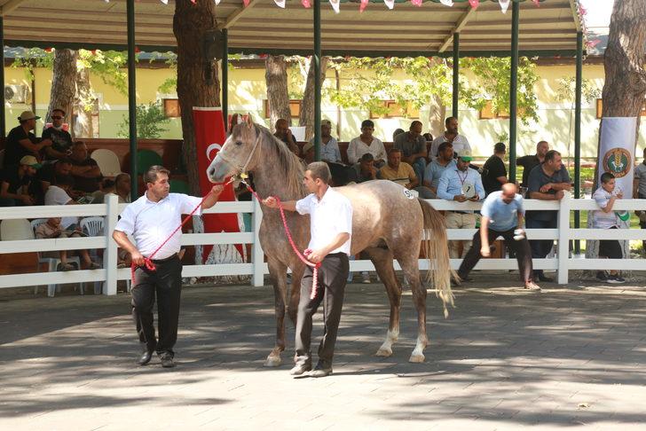 TİGEM, 56 tay satarak yaklaşık 10 milyon lira gelir elde etti G3
