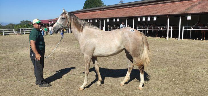 TİGEM, 56 tay satarak yaklaşık 10 milyon lira gelir elde etti G4