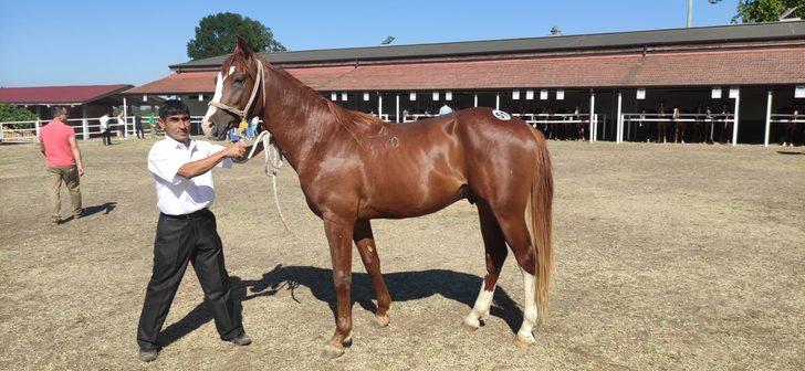 TİGEM, 56 tay satarak yaklaşık 10 milyon lira gelir elde etti G5