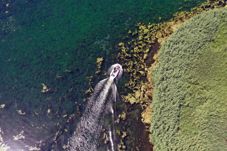 AFAD, Ağrı Dağı Milli Parkı'ndaki sulak alanda arama-kurtarma eğitimi yaptı G5