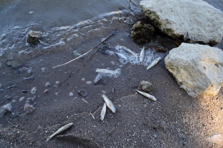 Aksaray'daki Helvadere Göleti'nde balık ölümlerine ilişkin inceleme başlatıldı G3
