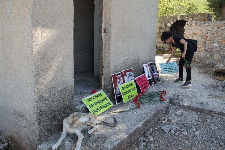 Hatay'da 5 köpek yavrusunun öldürülmesine hayvanseverler tepki gösterdi G3