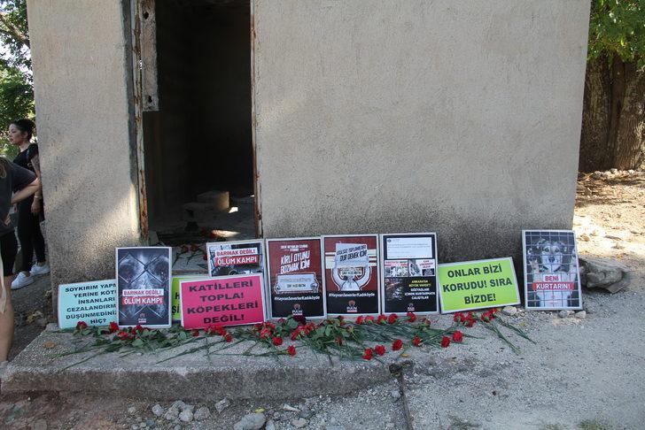 Hatay'da 5 köpek yavrusunun öldürülmesine hayvanseverler tepki gösterdi G4
