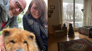 Karikatürist Serkan Altuniğne, Bobo'nun hayatını kaybettiğini duyurdu: Bize muazzam bir 15 yıl yaşattı