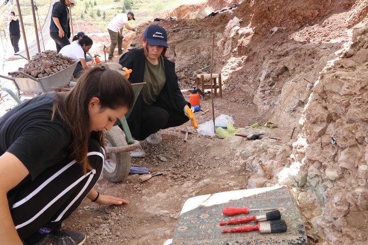 Çankırı'da Çorakyerler Omurgalı Fosil Lokalitesi kazıları başladı G2