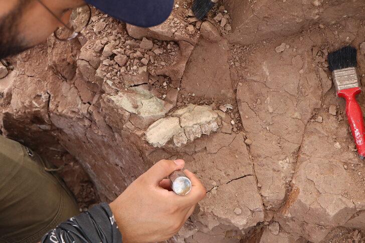 Çankırı'da Çorakyerler Omurgalı Fosil Lokalitesi kazıları başladı G3