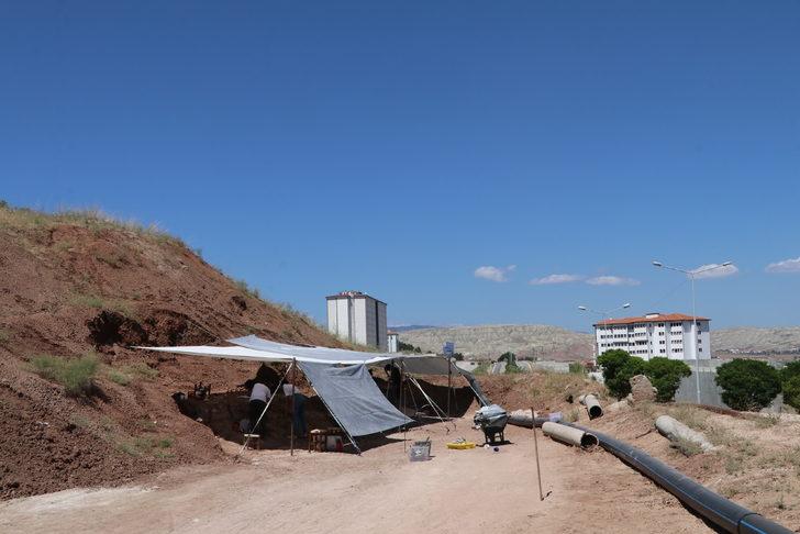 Çankırı'da Çorakyerler Omurgalı Fosil Lokalitesi kazıları başladı G5