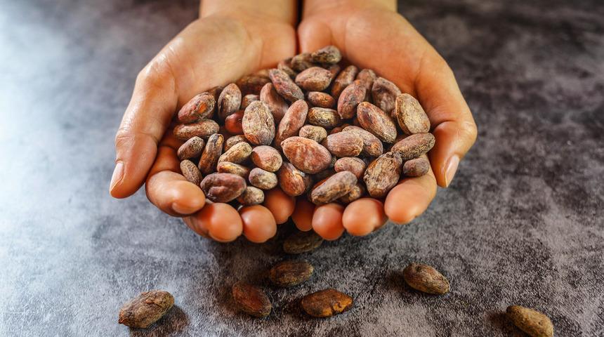 Kalp hastalığına bire bir: Bitter çikolatanın etkileyici faydaları