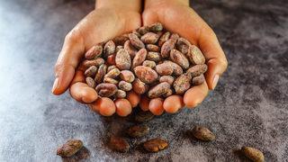 Kalp hastalığına bire bir: Bitter çikolatanın etkileyici faydaları