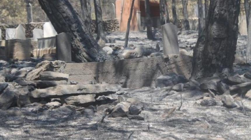 Mersin'de 100 hektar ormanlık alan yandı