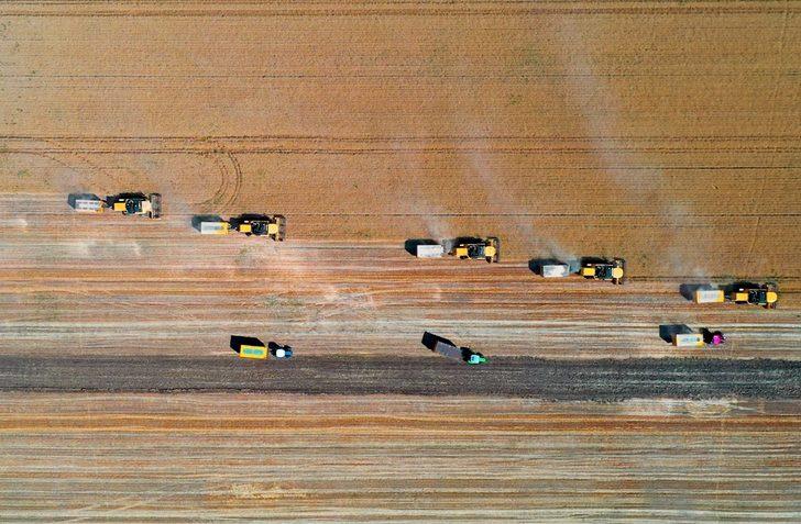 Bereketli Muş Ovası'nda 375 ton buğday rekoltesi bekleniyor G2