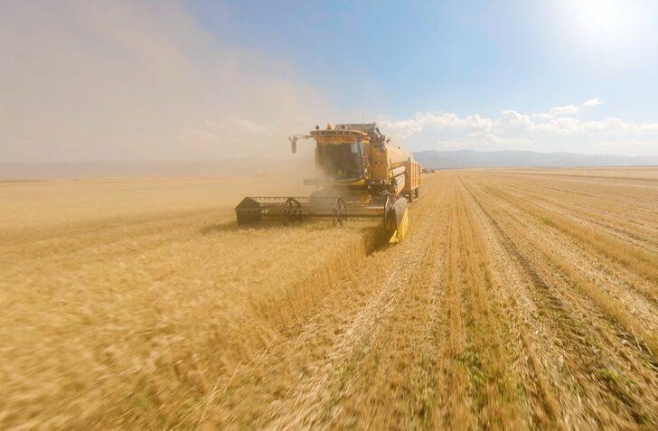 Bereketli Muş Ovası'nda 375 ton buğday rekoltesi bekleniyor G3