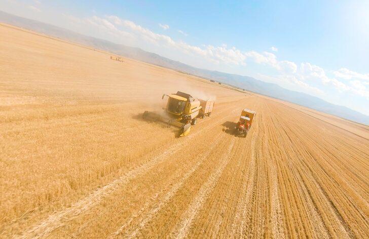 Bereketli Muş Ovası'nda 375 ton buğday rekoltesi bekleniyor G4