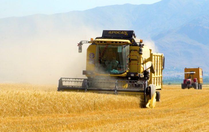 Bereketli Muş Ovası'nda 375 ton buğday rekoltesi bekleniyor G5