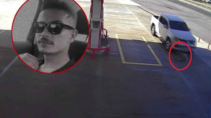 K&ouml;peği ezmek i&ccedil;in yolunu değiştirmişti! Skandal olayın altından &ccedil;ıkan ger&ccedil;ek şoke etti