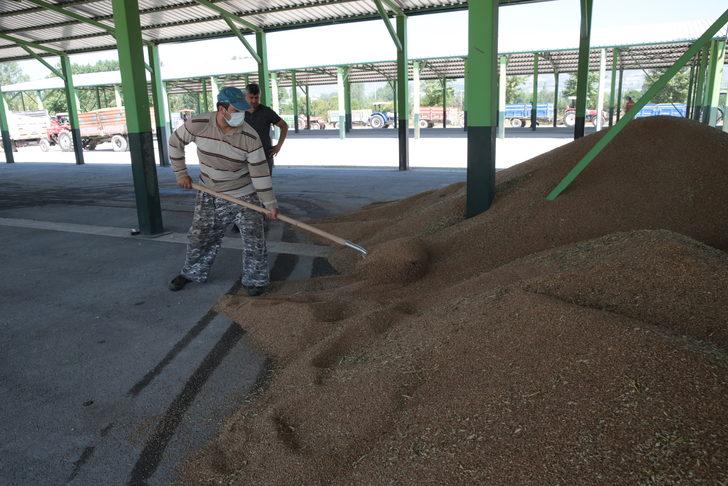 TMO Bolu'da hububat alımına başladı G5