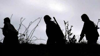 Muş'ta 2 defa 'öldü' denilen terörist sağ yakalandı