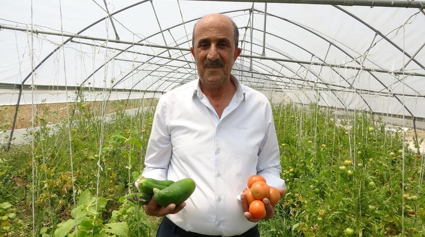 Yazıyı gören buraya geliyor! Her şey bedava: Bu serada ihtiyacı olan herkes sebze alabilir