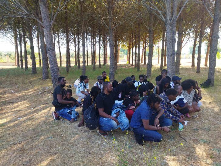 Muğla'da 125 düzensiz göçmen yakalandı G3