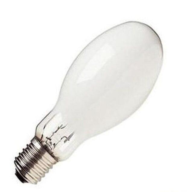 Which is the best light bulb brand that is economical and long-lasting for your home?