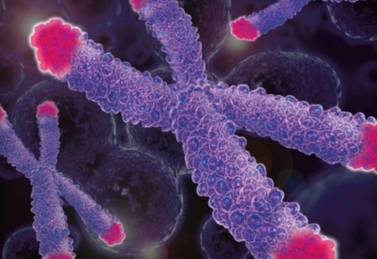 Yuzey Arttirilmis Raman Sacilmasi Ile Telomer Uzunlugunun Degerlendirilmesi Bilimsel Raporlar