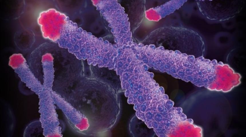 Sosyok&uuml;lt&uuml;rel durum genetiğimizi etkiler mi?