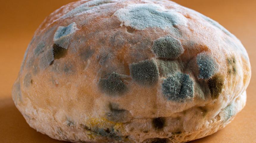 Dondurucuya koymayın! Bayatlayan ve küflenen ekmeklere son: İhtiyacınız olan tek şey... 