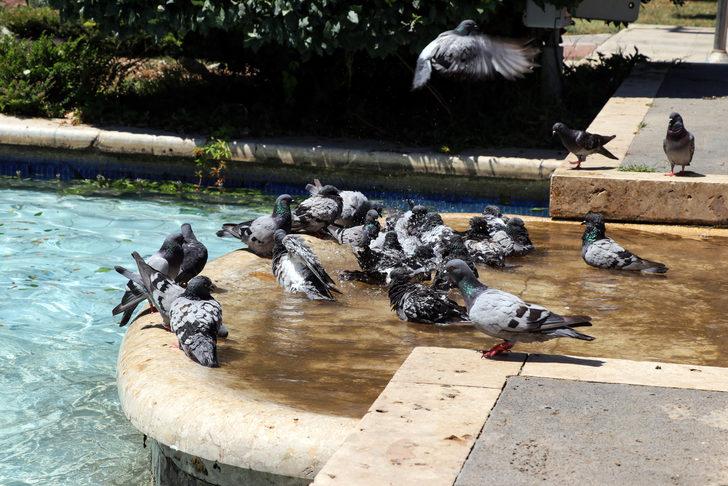 Adana'da sıcak hava etkili oluyor G1