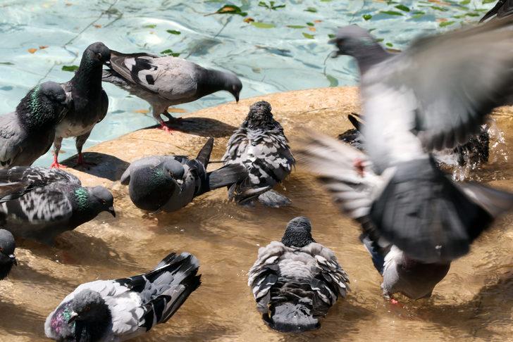 Adana'da sıcak hava etkili oluyor G2