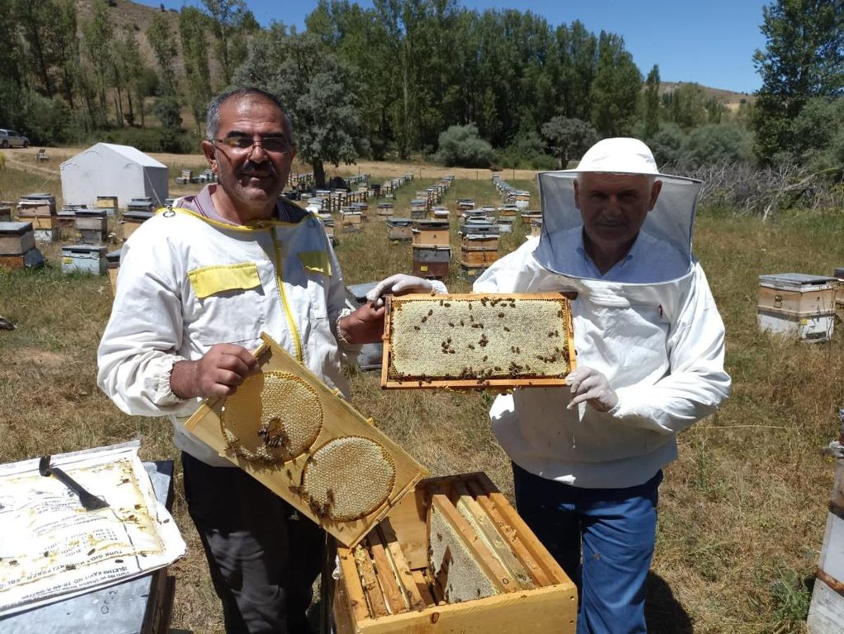 AK Parti Genel Başkanvekili Binali Yıldırım Erzincan'da bal hasadı yaptı
