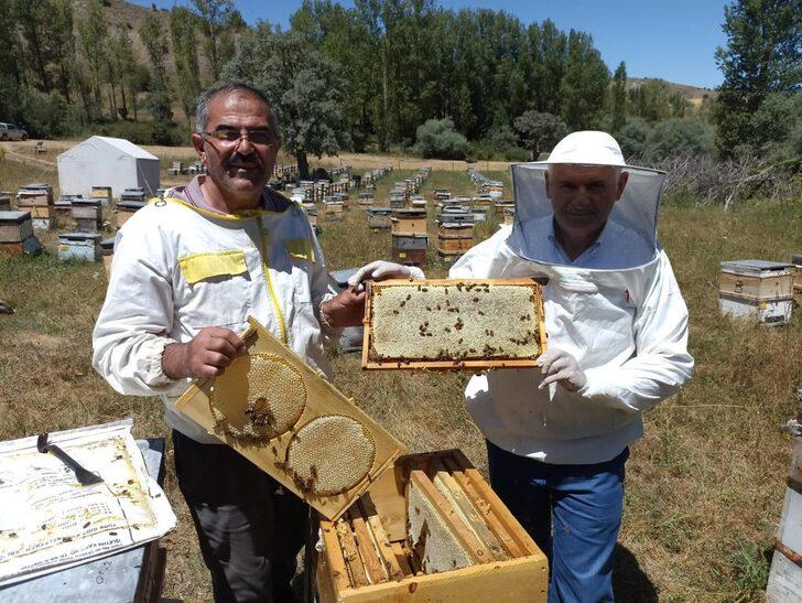 AK Parti Genel Başkanvekili Binali Yıldırım Erzincan'da bal hasadı yaptı G1