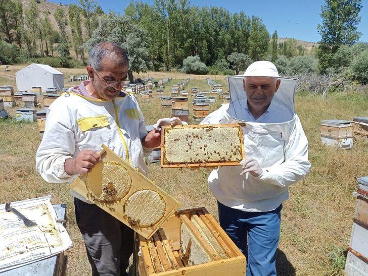 AK Parti Genel Başkanvekili Binali Yıldırım Erzincan'da bal hasadı yaptı G3