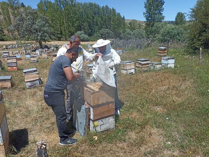 AK Parti Genel Başkanvekili Binali Yıldırım Erzincan'da bal hasadı yaptı G4