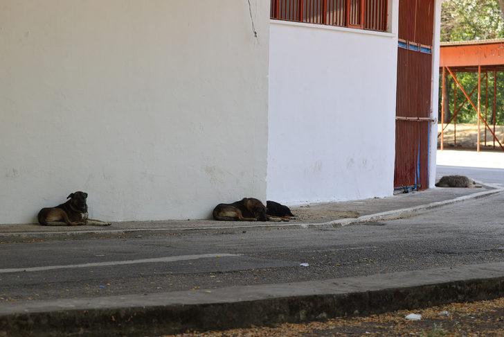 Edirne'de sıcak hava hayatı olumsuz etkiliyor G3