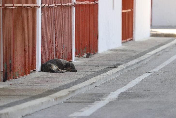 Edirne'de sıcak hava hayatı olumsuz etkiliyor G4