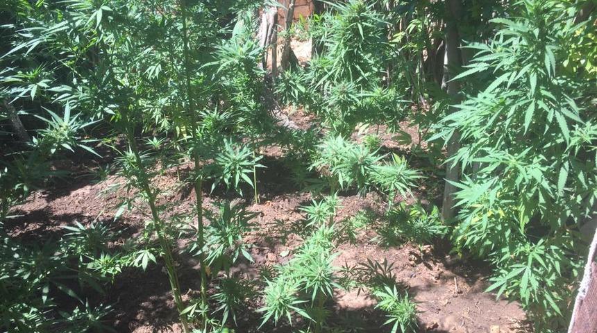 Mardin'de tarihi eser ve uyuşturucu operasyonunda 5 zanlı yakalandı