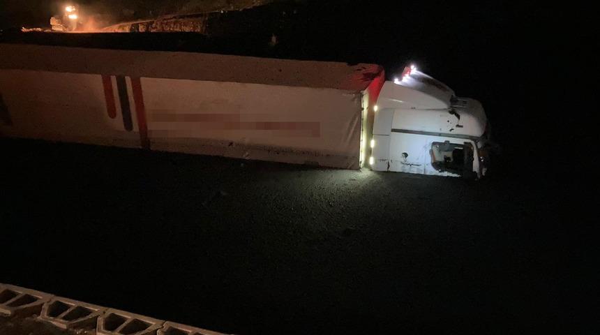 Gecenin karanlığında birden otoyolu kapladı! "Görünce arabayı bırakıp kaçtım"