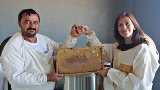 Kahramanmaraş'ta Hacettepe Üniversitesi iş birliğinde üretilen bal hasat edildi