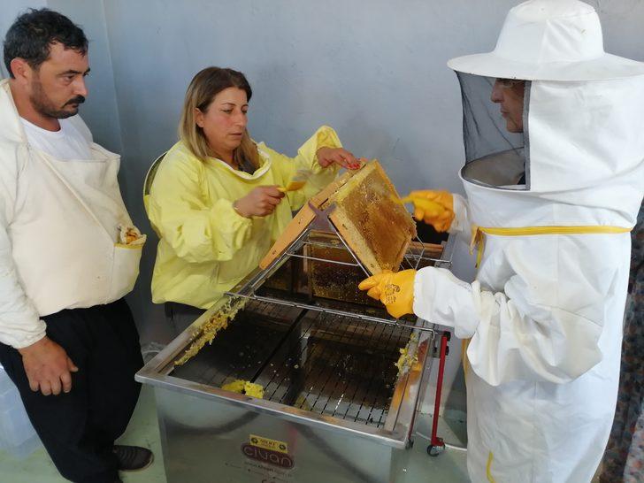 Kahramanmaraş'ta Hacettepe Üniversitesi iş birliğinde üretilen bal hasat edildi G2