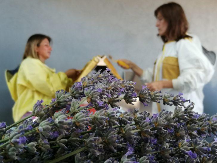 Kahramanmaraş'ta Hacettepe Üniversitesi iş birliğinde üretilen bal hasat edildi G5