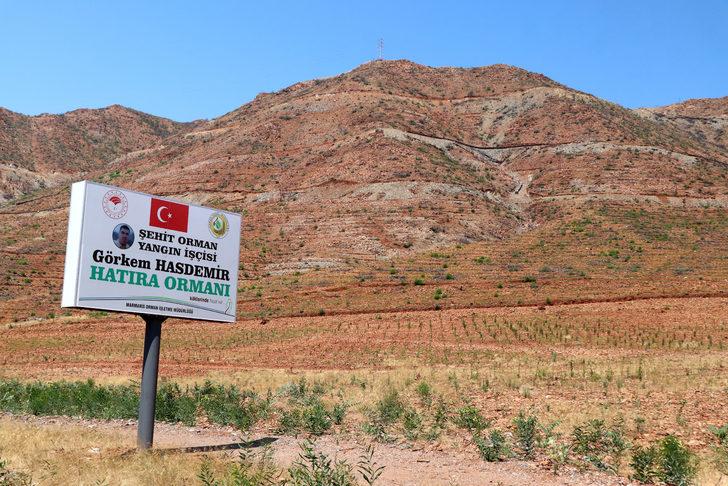 Marmaris yangınının üzerinden bir yıl geçti G4