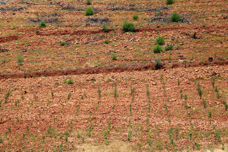 Marmaris yangınının üzerinden bir yıl geçti G5