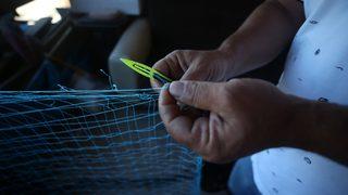 Düzce'de balıkçılar sezona hazırlanıyor