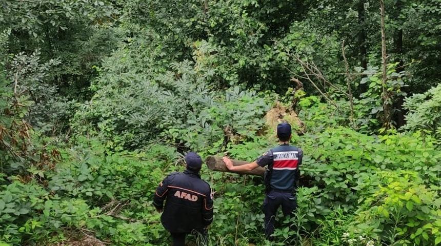 Artvin'de çay toplarken kaybolan kişi bulundu