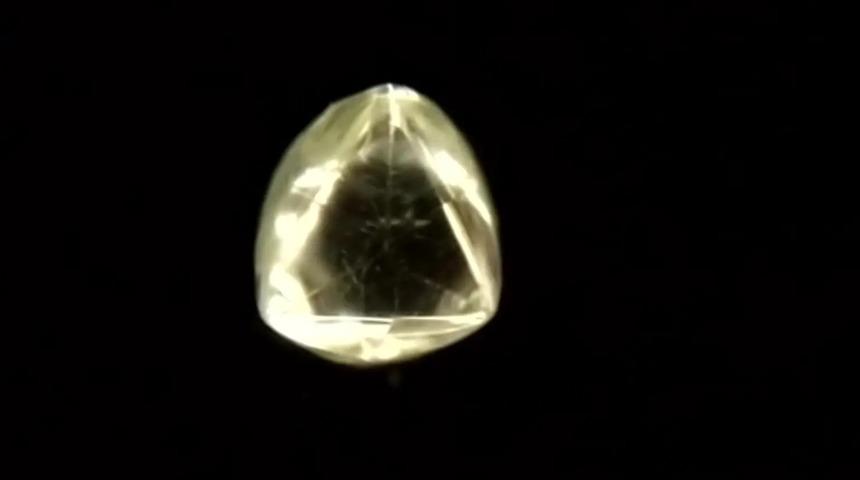 Masallar gerçek oldu! Ormanda odun toplarken resmen hazine bulunca...