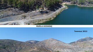 Muğla'da yangınların ardından yanan alanlar tekrar yeşeriyor