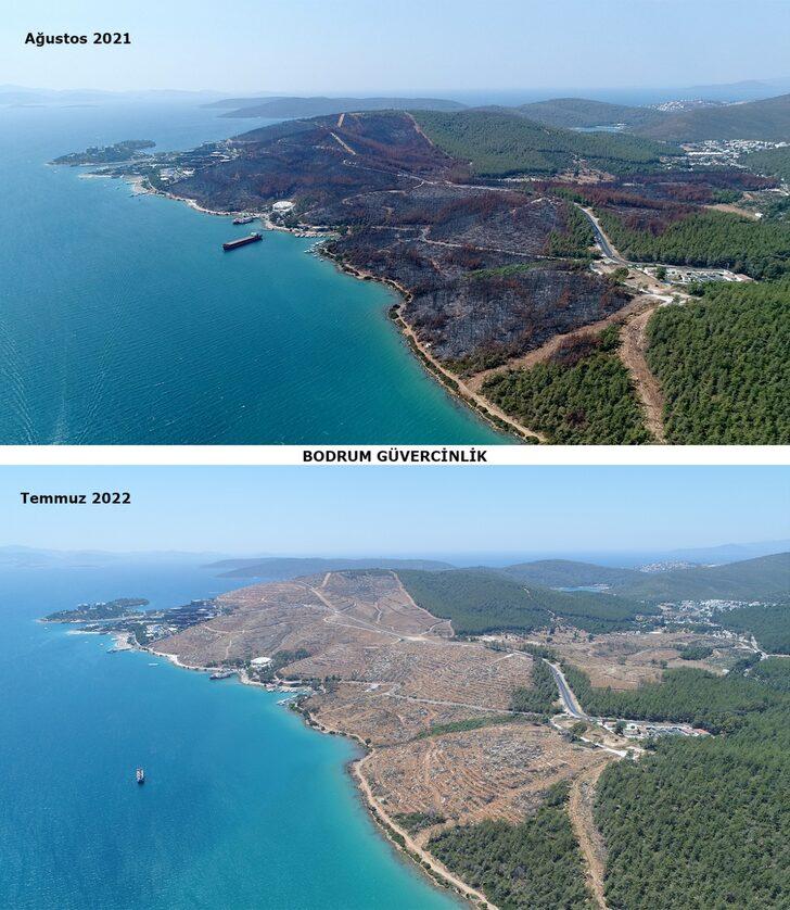 Muğla'da yangınların ardından yanan alanlar tekrar yeşeriyor G4