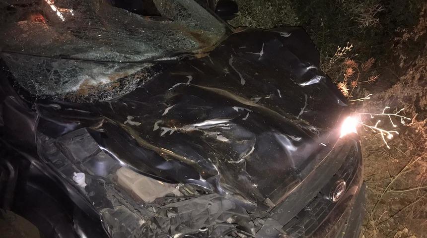 Kahramanmaraş'ta trafik kazasında 1 kişi öldü, 2 kişi yaralandı