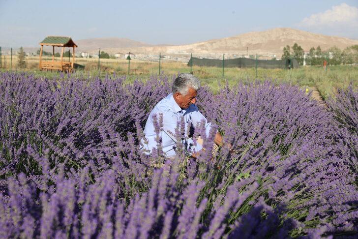 Van'da tıbbi, aromatik bitki hasadı yapıldı G4